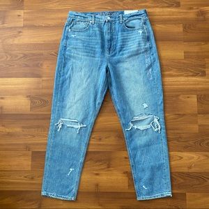 American Eagle Mom Jeans  Size 14 / 32 W
